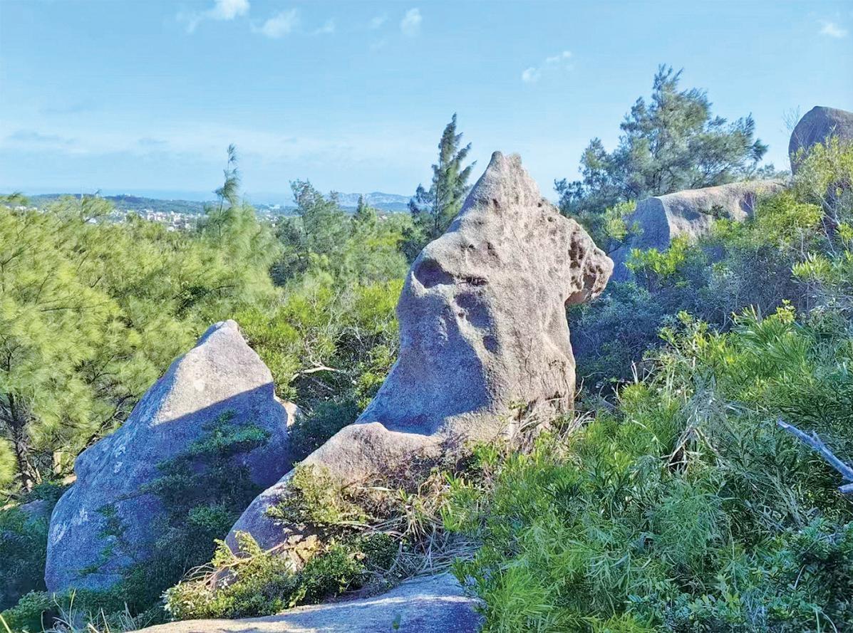 奇巖怪石認保人講述“唐僧巖”“白龍馬石”背后的護石故事